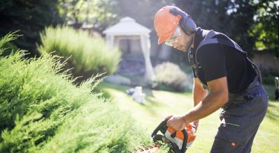 (alt="Professional gardener with protective equipment cutting hedge with electric saw in a garden on a sunny day.”)